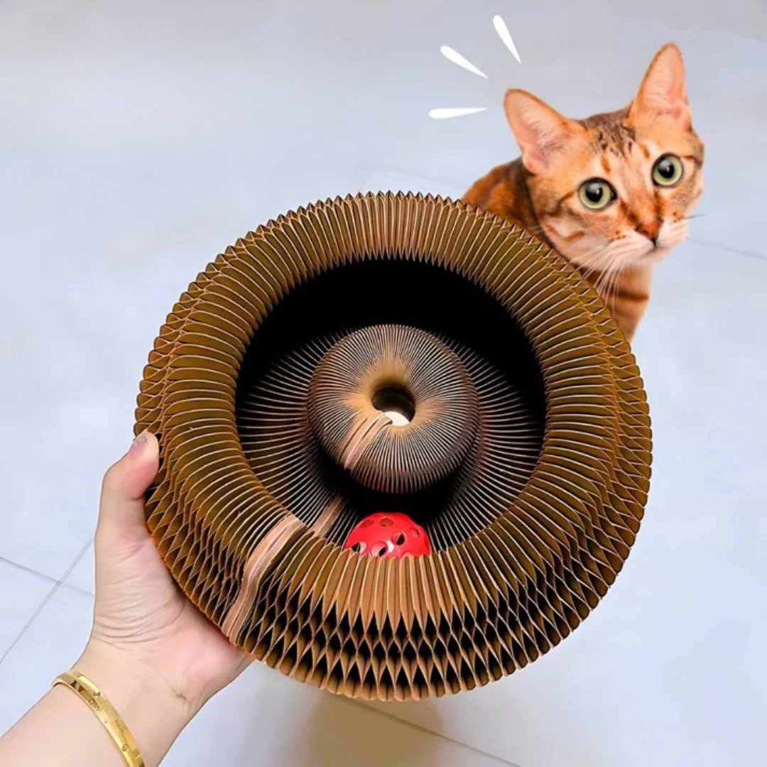 Brinquedo Interativo 3 em 1 para Estimular e Acalmar o seu Gato