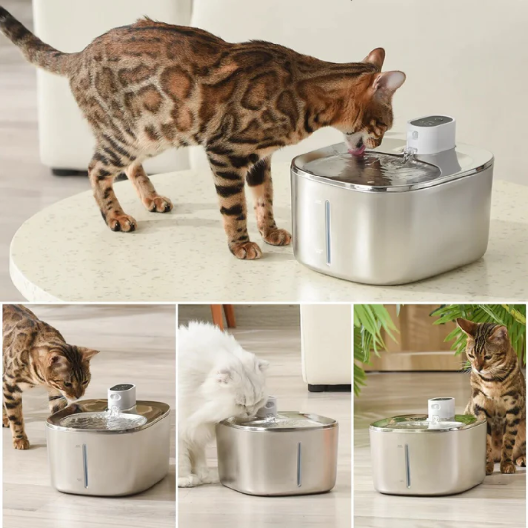 Fonte de Água Automática para Animais