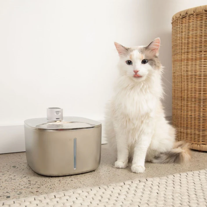 Fonte de Água Automática para Animais