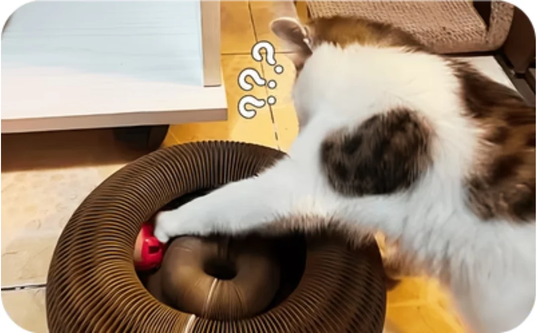 Brinquedo Interativo 3 em 1 para Estimular e Acalmar o seu Gato