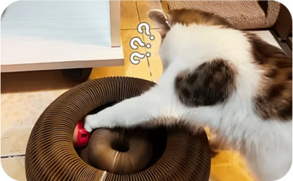 Brinquedo Interativo 3 em 1 para Estimular e Acalmar o seu Gato